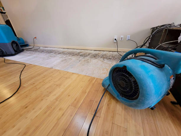 Professional Structural Drying technician working in Wilder, TN